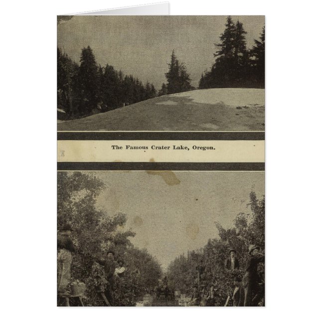 Crater Lake Oregon Orchard scene (Front)