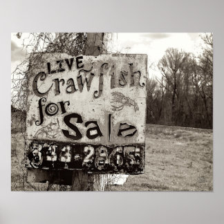 Crawfish [Art Print] Poster