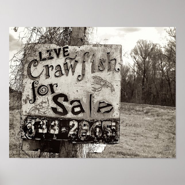 Crawfish [Art Print] Poster (Front)