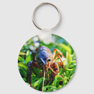 Crawfish Crawdads Crayfish Key Ring