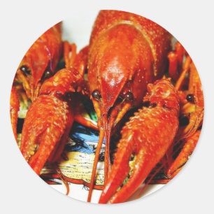 Crawfish Crawdads Craytfish Classic Round Sticker