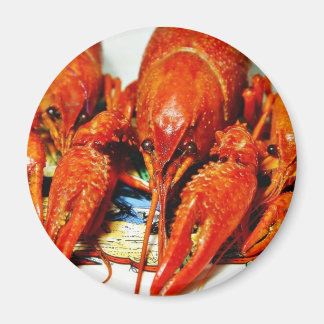 Crawfish Crawdads Craytfish Magnet