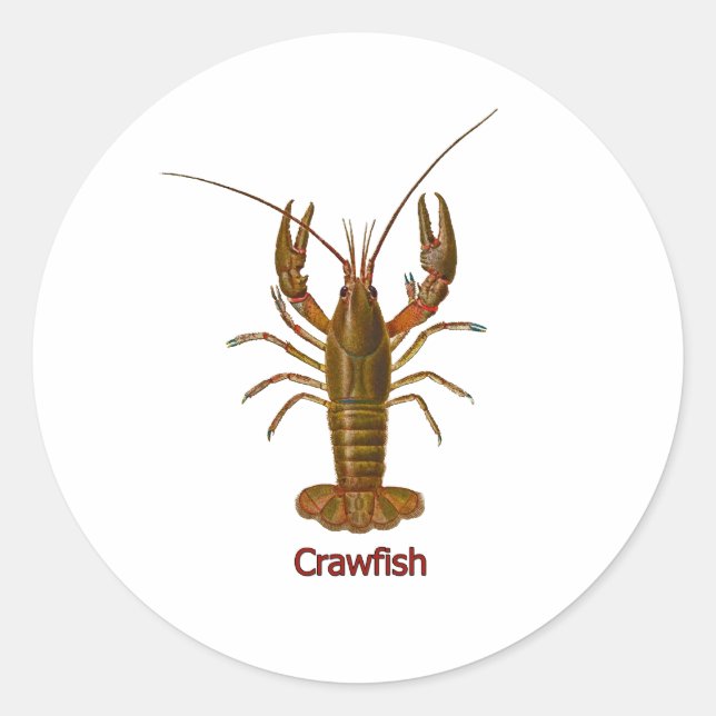 Crawfish Logo Classic Round Sticker (Front)