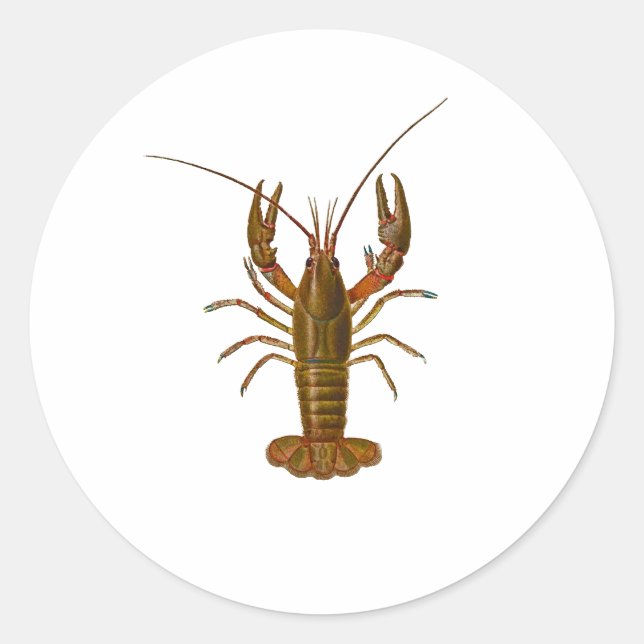 Crawfish Logo Classic Round Sticker (Front)