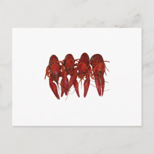 Crawfish Logo (untitled) Postcard