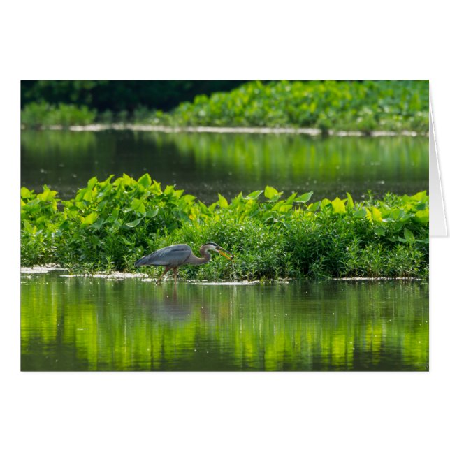 Crawfish Meal Time (Front Horizontal)