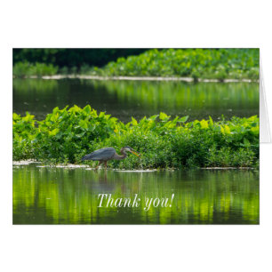 Crawfish Meal Time Thank You Card