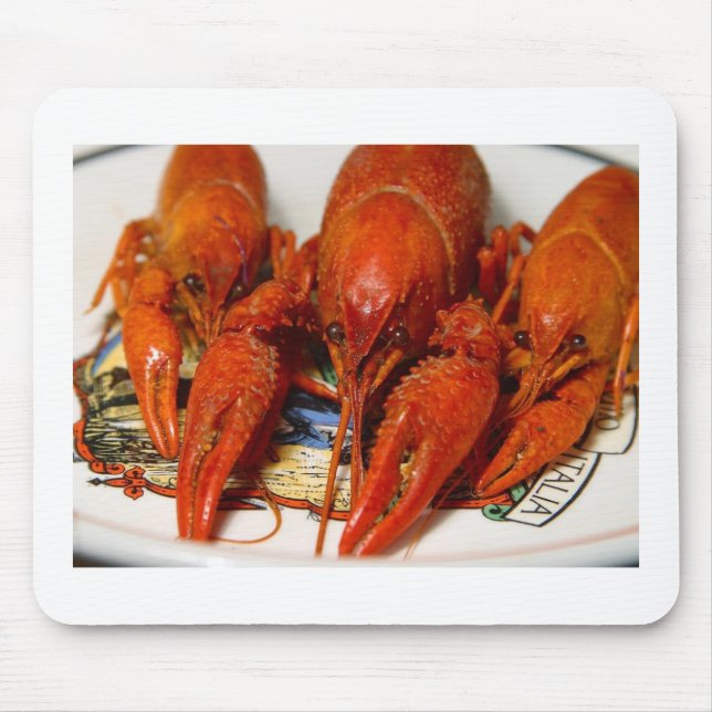 Crawfish Mouse Mat (Front)