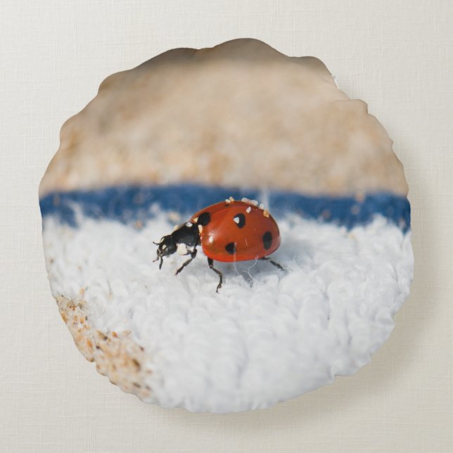 Crawling ladybug round cushion (Back)