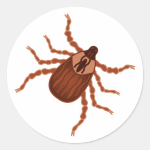 Crawly Realistic Tick Illustration Classic Round Sticker