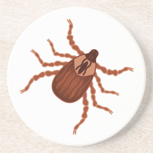 Crawly Realistic Tick Illustration Coaster (Front)