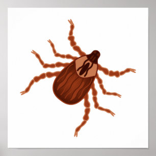 Crawly Realistic Tick Illustration Poster