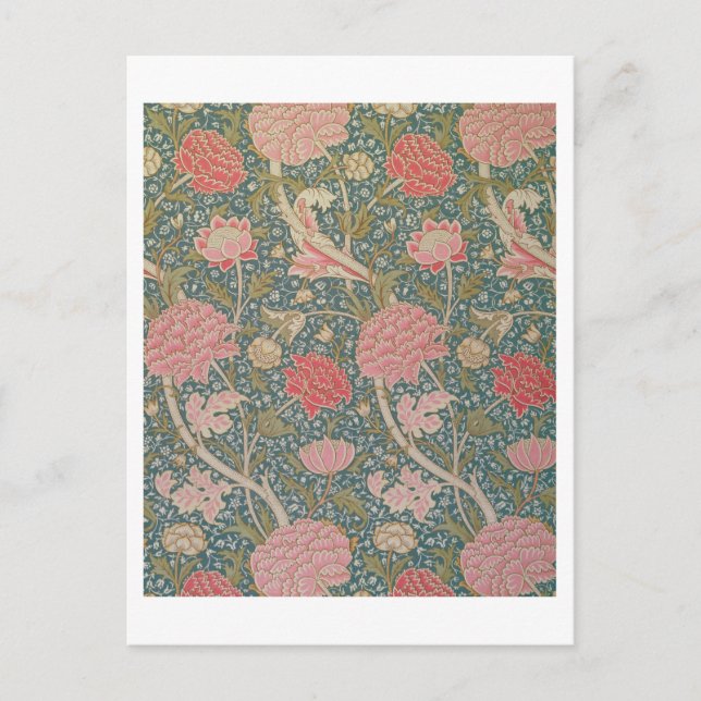 'Cray', 1884 Postcard (Front)