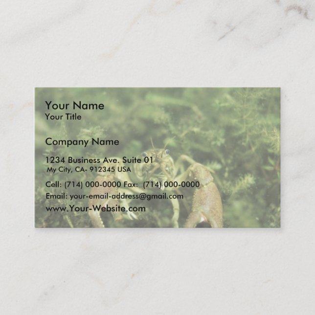 Crayfish- close-up underwater business card (Front)