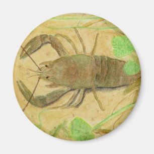 Crayfish Magnet