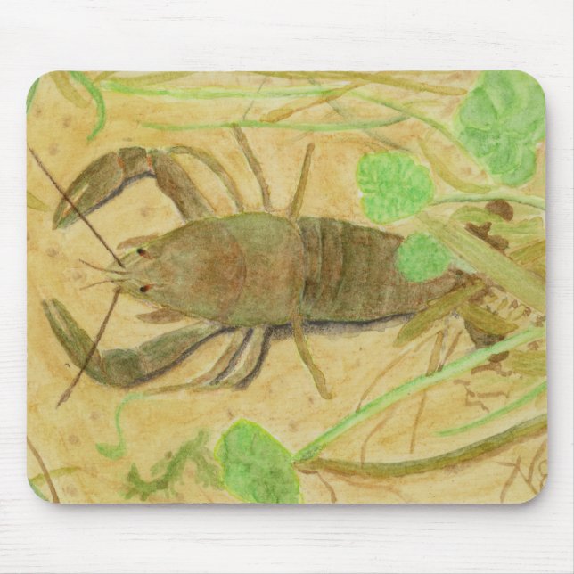 Crayfish Mouse Mat (Front)