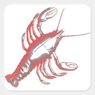 Crayfish Square Sticker
