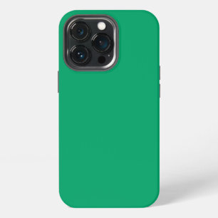 Crayon Colour Green iPhone 13 Pro Case
