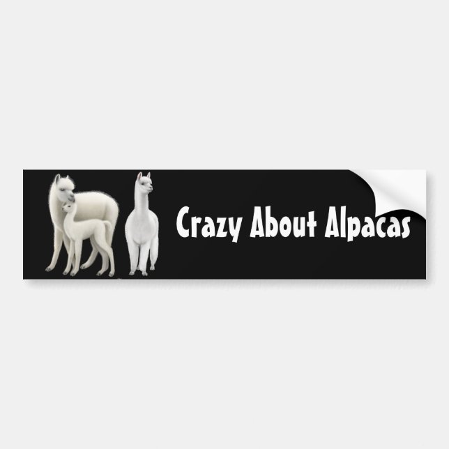 Crazy About Alpacas Bumper Sticker (Front)