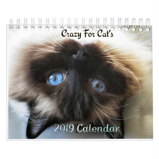 Crazy about Cats  2023 wall calendar (Cover)