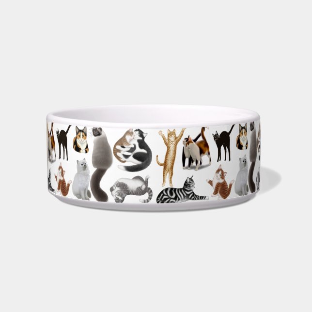 Crazy About Cats Pet Bowl (Front)