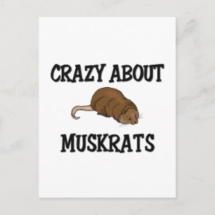 Crazy About Muskrats Postcard