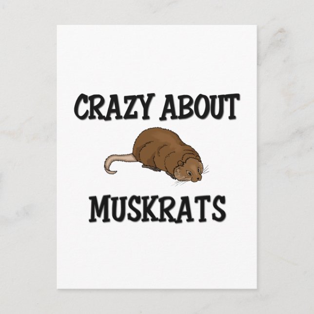 Crazy About Muskrats Postcard (Front)
