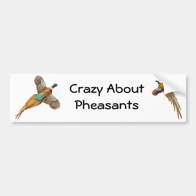 Crazy About Pheasants Bumper Sticker (Front)