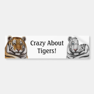 Crazy About Tigers Bumper Sticker