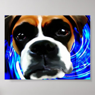 crazy boxer poster