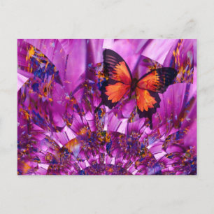 Crazy Butterfly Postcard