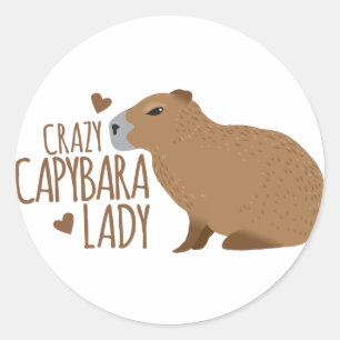 crazy capybara lady classic round sticker