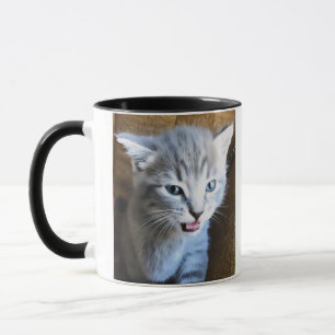 Crazy Cat Lady. Cat Humor. Cat Coffee Mug. Mug