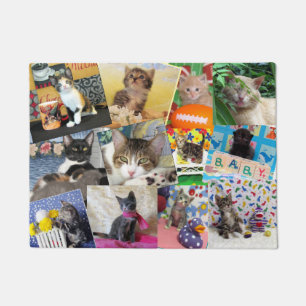 Crazy Cat Lady Doormat  (18 X 24)