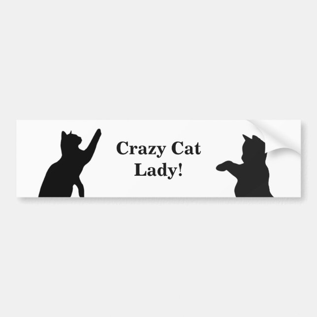 CRAZY CAT LADY Fun Quote for Cat Lovers Bumper Sticker (Front)