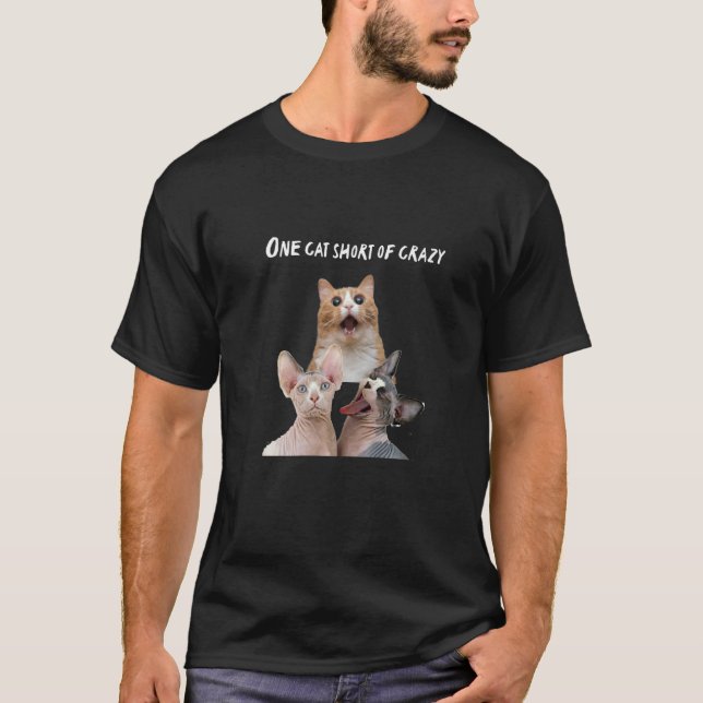 Crazy Cat Lady Man Tees One Cat Short Of Crazy (Front)