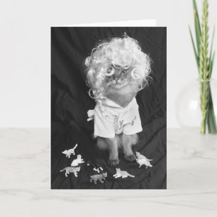 Crazy Cat Lady Somali Cat Card