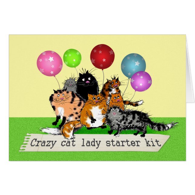 Crazy cat lady starter kit. cats, balloons. humour (Front Horizontal)