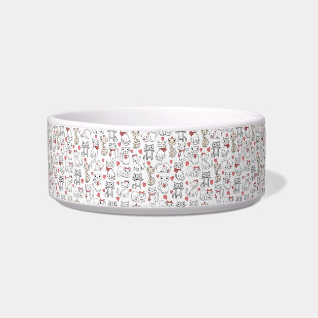 Crazy Cat Lover Bowl (Left)