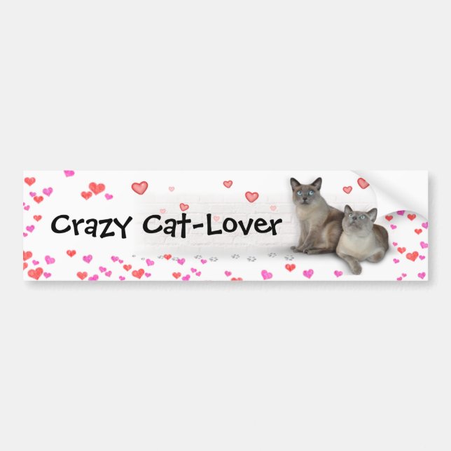 Crazy Cat-Lover Bumper Sticker (Front)