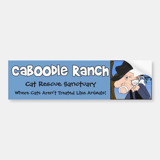 'Crazy Cat Man' Bumper Sticker (Front)