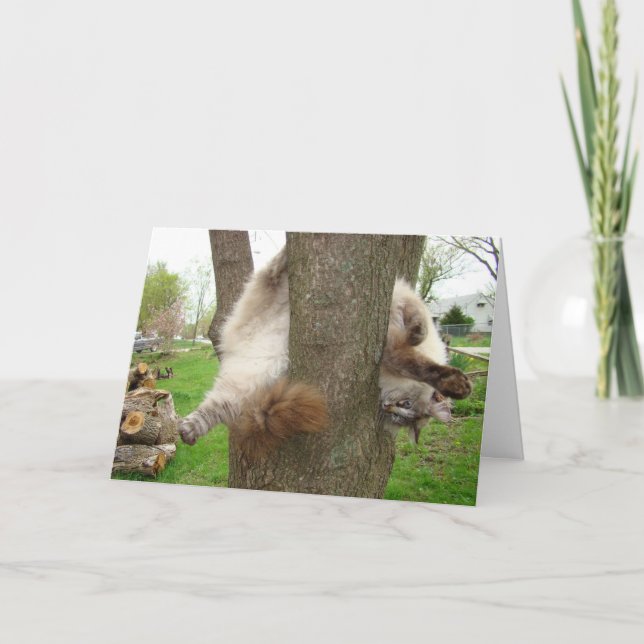 CRAZY CAT VALENTINES CARD (Front)