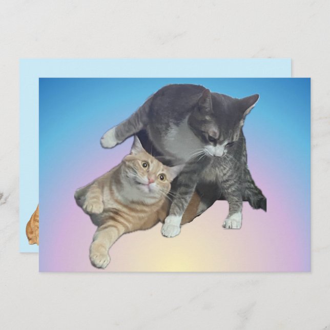 Crazy Cats - Taz and Tito Bandito (Front/Back)