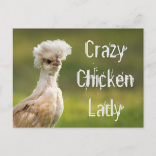 Crazy Chicken Lady Postcard