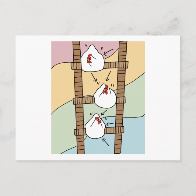 Crazy Chickens Funny Chicken Postcard (Front)