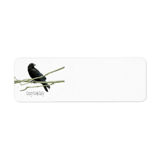 Crazy Crow Lady Return Address Labels