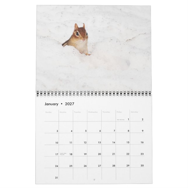 Crazy Cute Chipmunks 2013 Calendar (Jan 2027)
