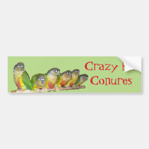 Crazy for Conures! Bumper Sticker