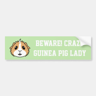 Crazy Guinea Pig Woman Car Bumper Sticker
