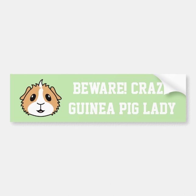 Crazy Guinea Pig Woman Car Bumper Sticker (Front)